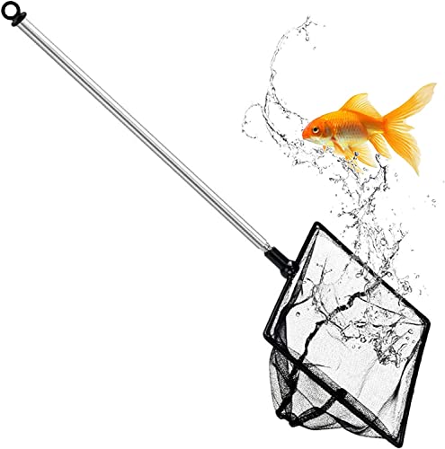 Fish & Aquatic Pets