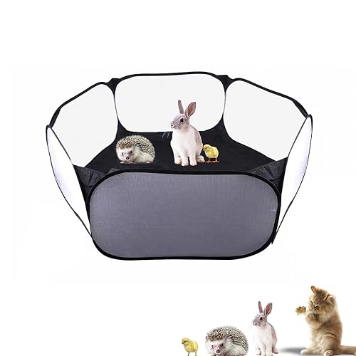 Small Animals